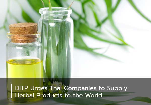 DITP Urges Thai Companies to Supply Herbal Products to the World