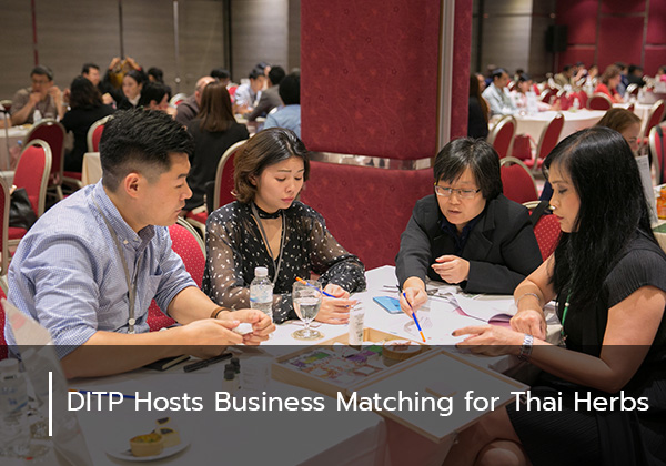 DITP Hosts Business Matching for Thai Herbs